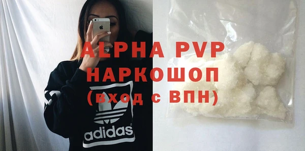 гидра Алексин