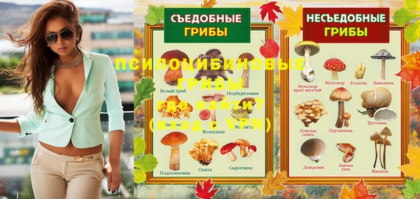 хмурый Алексеевка