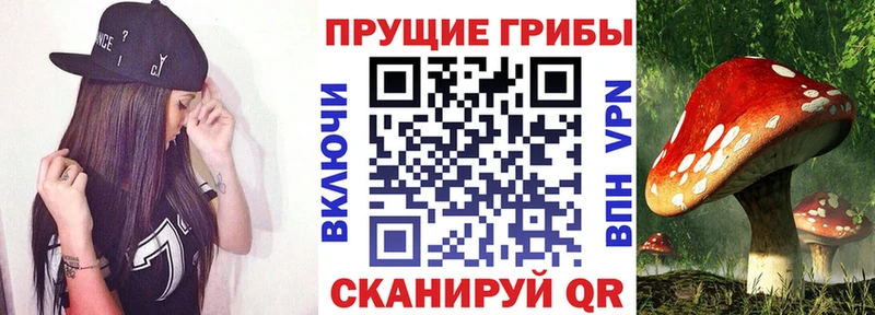 Псилоцибиновые грибы прущие грибы  Миасс 